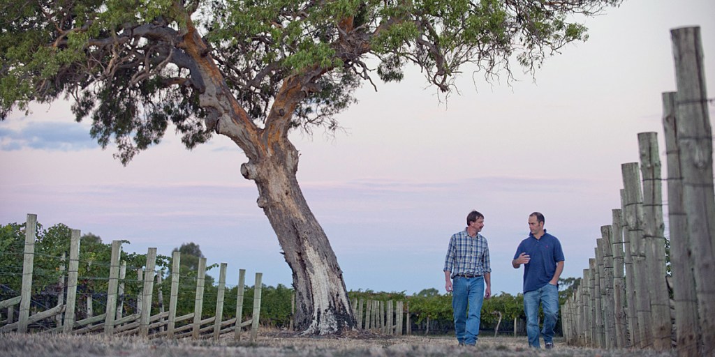 Leconfield winemakers Paul Gordon and Tim Bailey. 