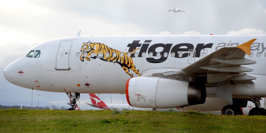 Thumbnail for Tiger has a new tale