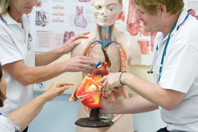 Thumbnail for Coping strategies for new nurses