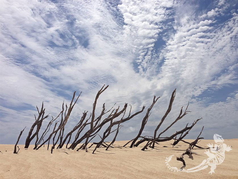 Thumbnail for Photos of the week – Landscapes and Clouds