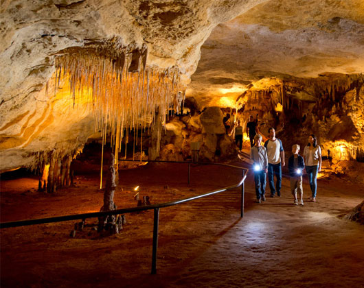 Thumbnail for Discover South Australia’s ancient past