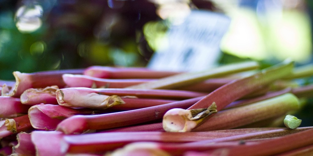 Thumbnail for More to rhubarb than sweet desserts