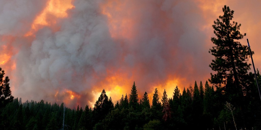 The Rim Fire burns outside Yosemite National Park near Groveland, California.