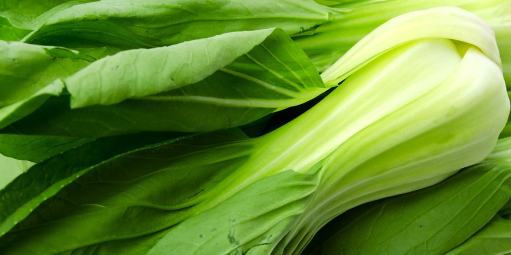 Thumbnail for Cooking with Asian greens