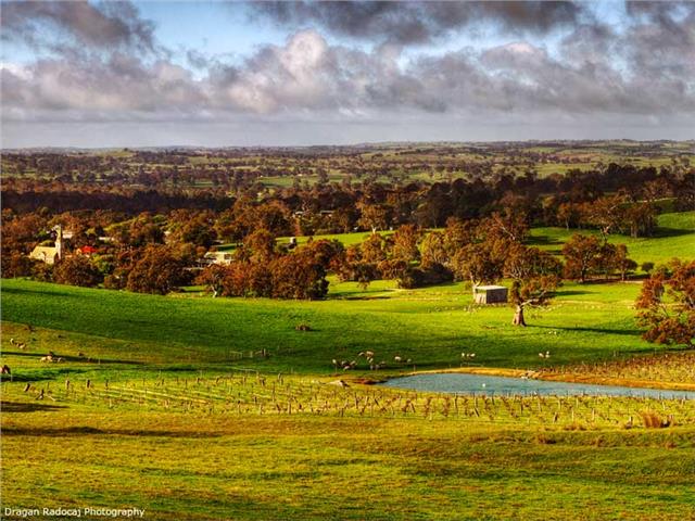 Thumbnail for Mega-punter gets lucky again