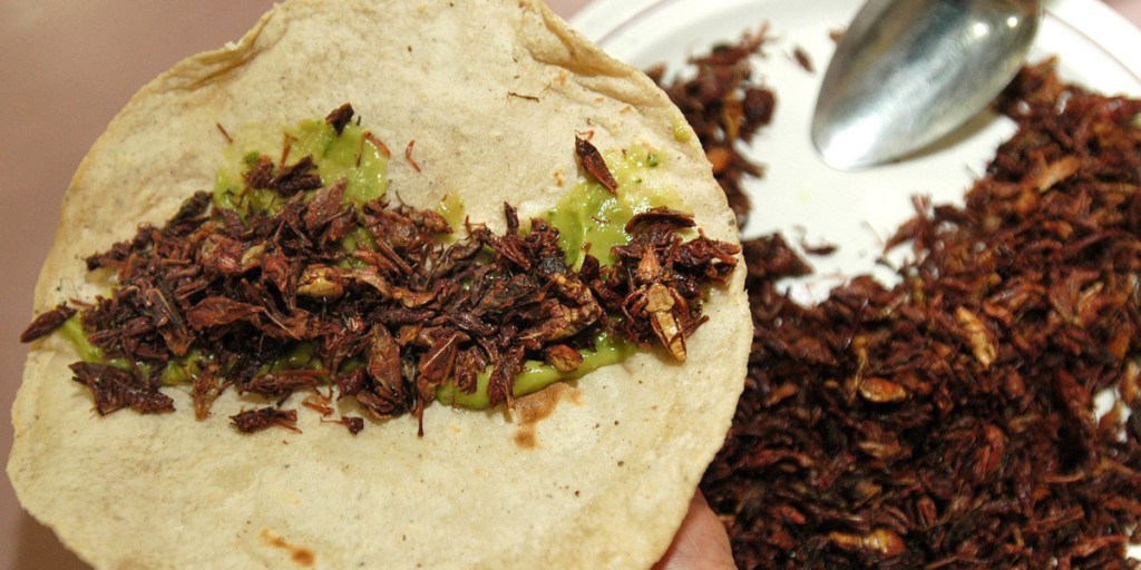 Grasshopper tortillas are a specialty in Mexico. Photo: AAP
