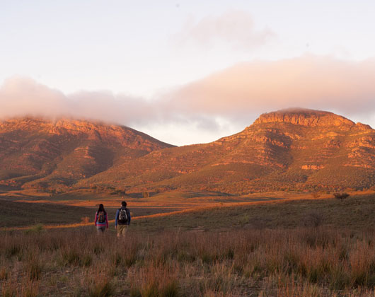 Thumbnail for Flinders Ranges by Foot welcomes weekend walks
