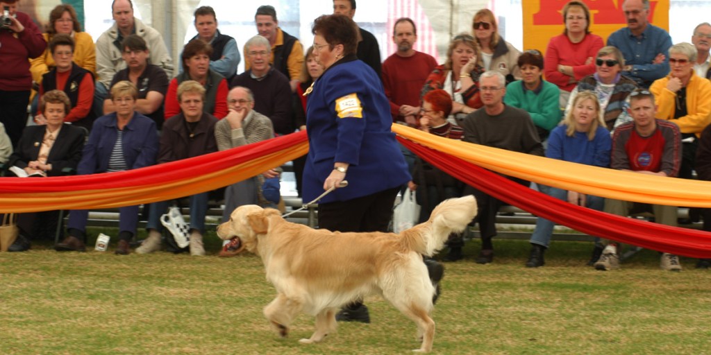 Thumbnail for Royal Adelaide Show results: Dogs