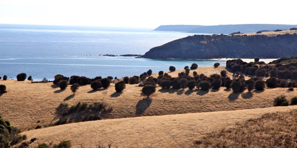Thumbnail for Pollies’ favourite places in South Australia