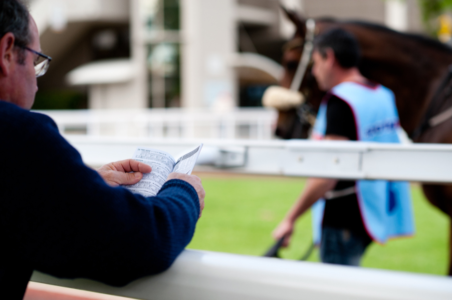 Thumbnail for Spring in the air at Morphettville