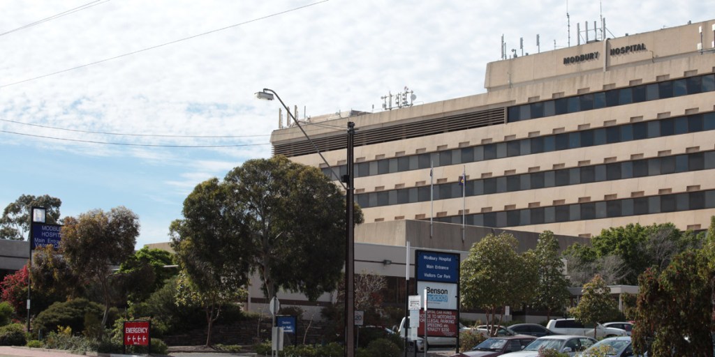 Peak medical bodies say the Government shouldn't be cutting paediatrics at Modbury while also reducing staff and beds at the Women's and Children's Hospital.