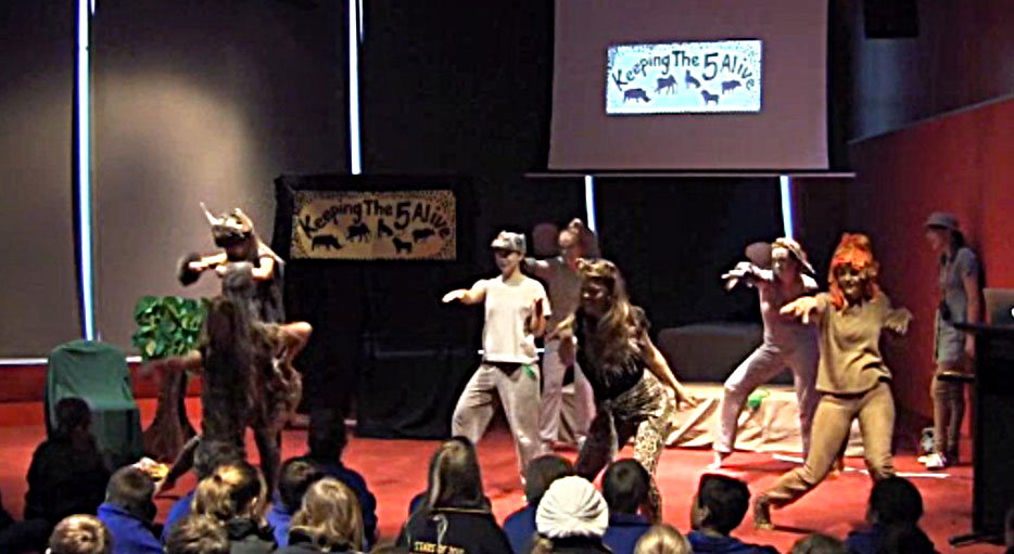 Thumbnail for Arts in education isn’t monkey business