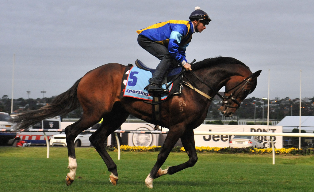 It's A Dundeel with trackwork rider James mcDonald