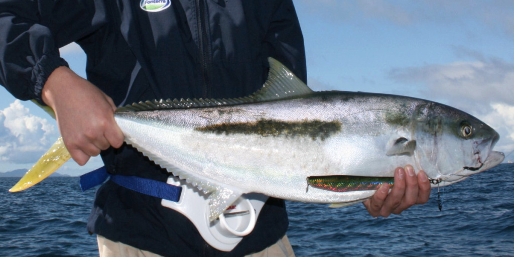 Thumbnail for Clean Seas claim against feed supplier may hit $39m