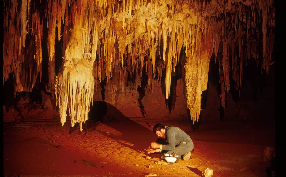 Thumbnail for Palaeo conference commemorates historic expedition