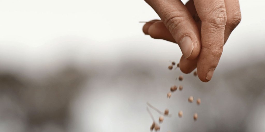 Thumbnail for Through Local Eyes – Grown in the Barossa