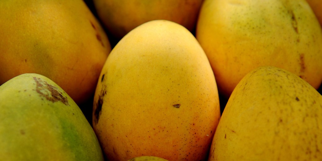 Thumbnail for Making the most of mangoes