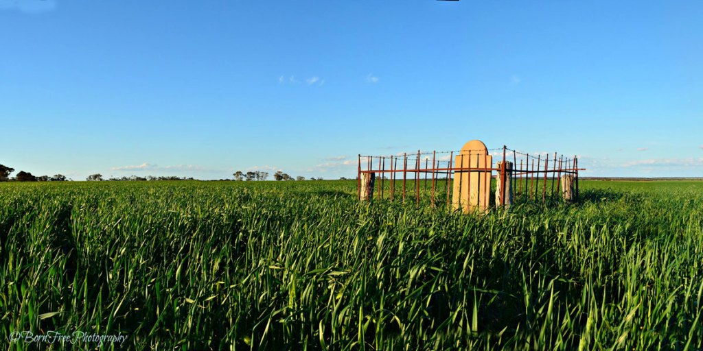 Thumbnail for Photos of the week – A rural landscape