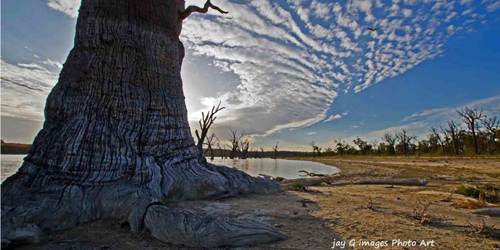 Thumbnail for Photos of the week – Waikerie, Willunga or Wistow?