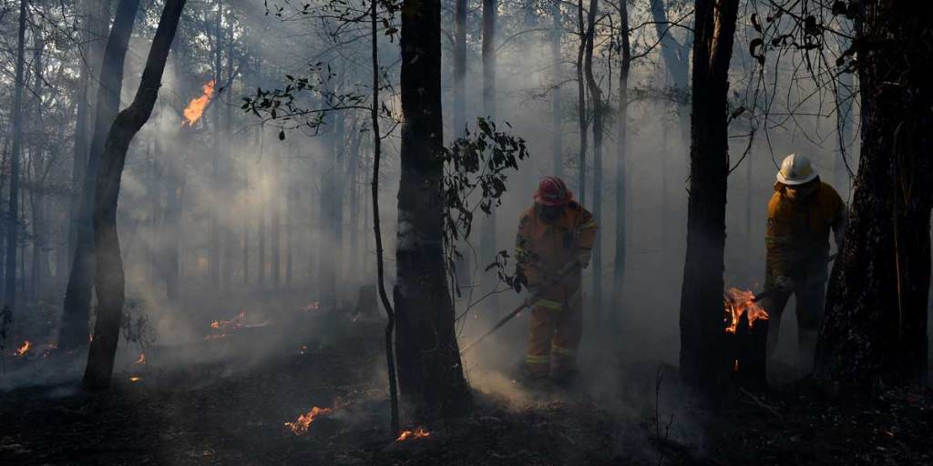 Rural Fire Service crews mop up an area after stopping a fire from impacting on a property at Bilpin, in the Blue Mountains.