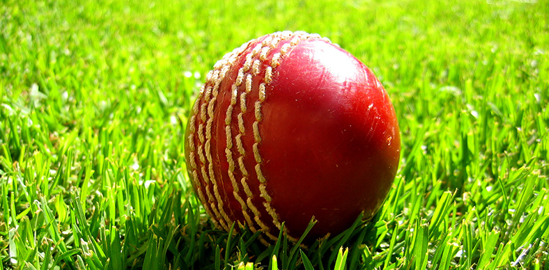 Thumbnail for BankSA goes in to bat for Country Cricket