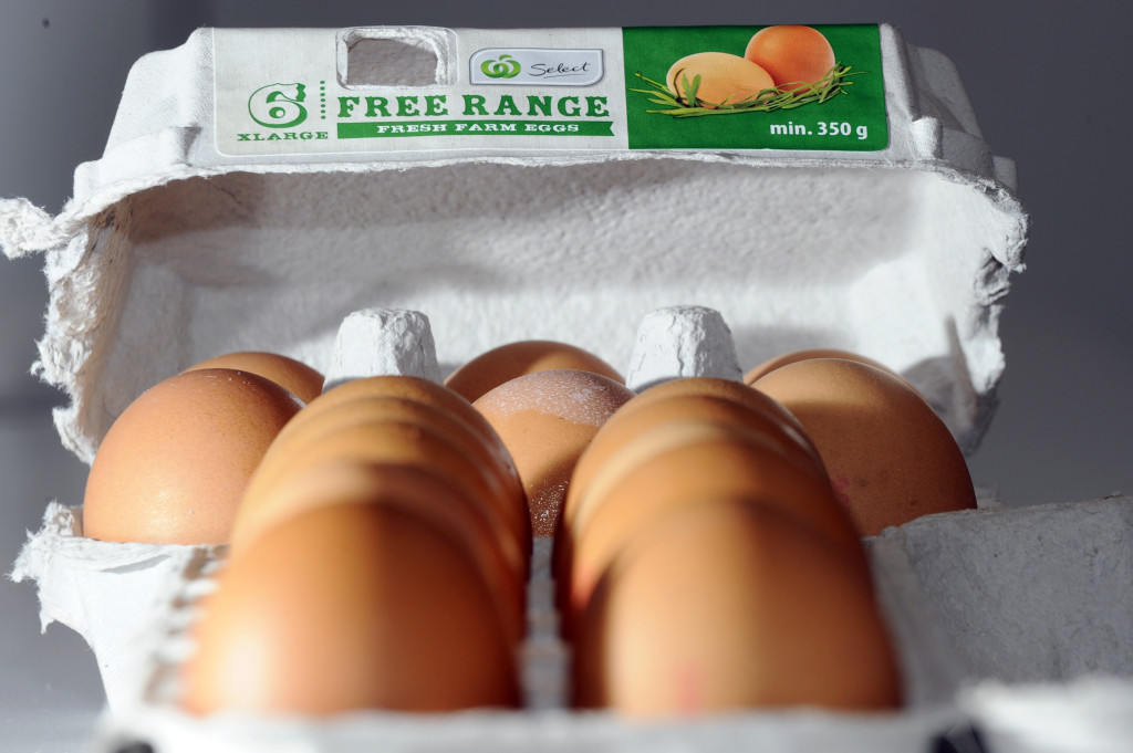 Thumbnail for Egg decision a lesson for business