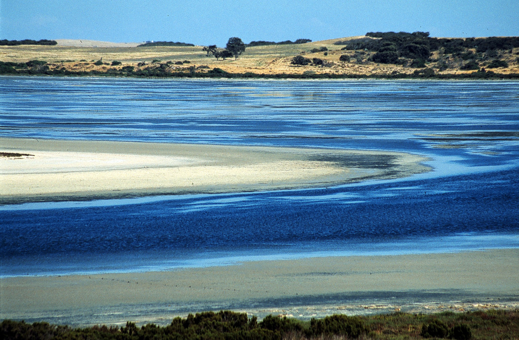 Thumbnail for State environment boss lashes local media