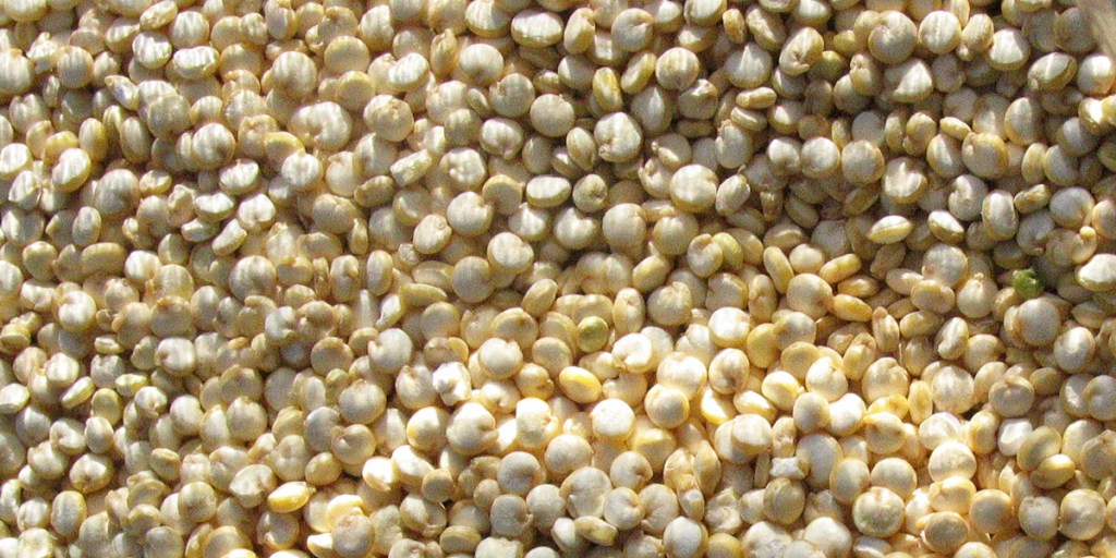 Thumbnail for What’s so super about quinoa?
