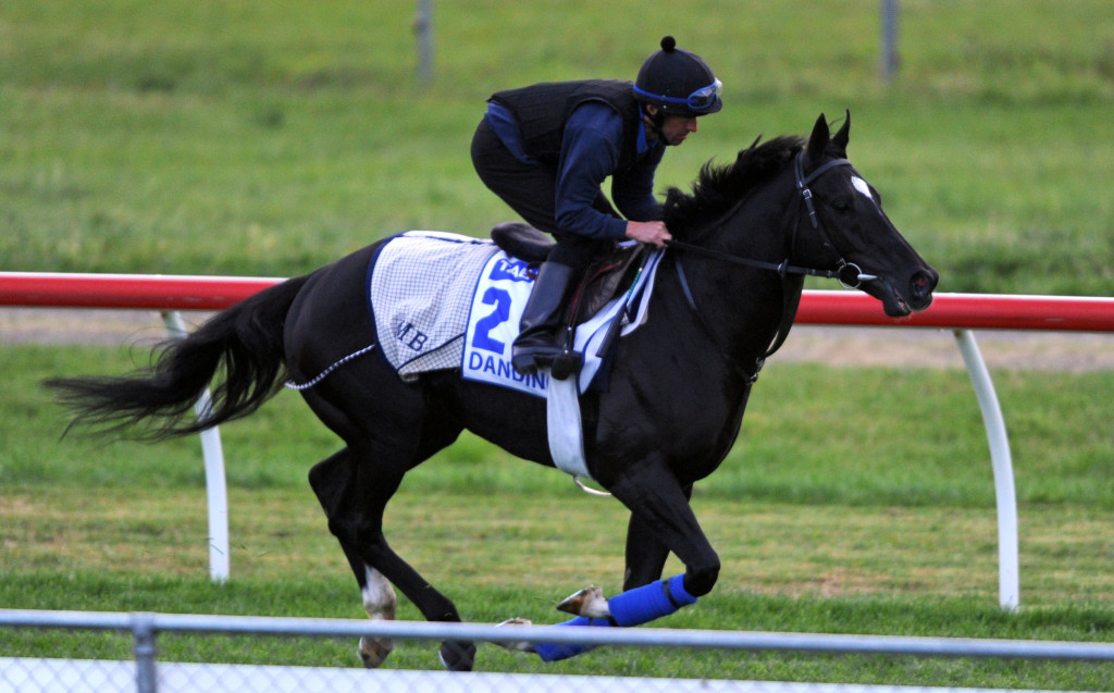 Dandino works at Werribee