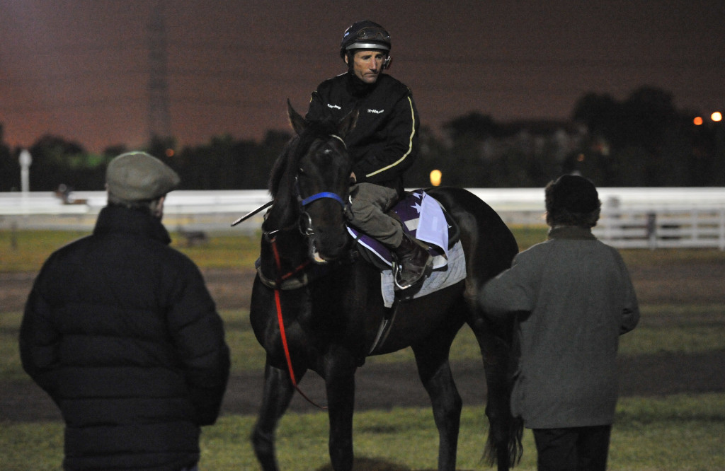 Jockey Damien Oliver aboard Fiorente speaks with trainer Gai Waterhouse (R) at Flemington racecourse this morning.