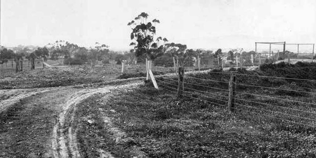 Part of the Adelaide parklands near LeFevre Terrace, North Adelaide, in 1915. Photo: State Library of South Australia