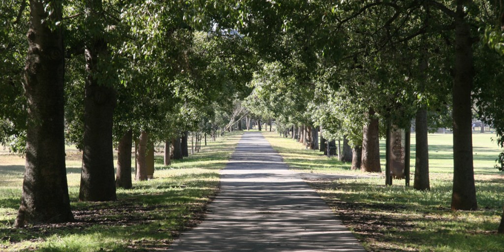 Thumbnail for City Council accused of “rolling over” on changes to Park Lands Authority