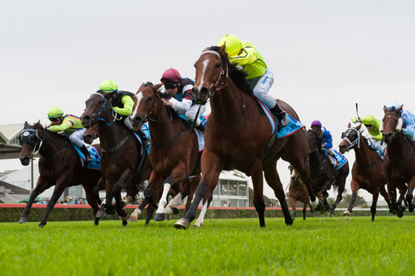 Thumbnail for Twilight delight at Morphettville