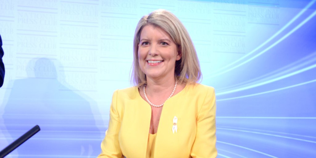 Natasha Stott Despoja at the National Press Club in November.