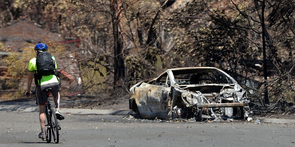 Thumbnail for Bushfires: Rural residents the solution, not the problem