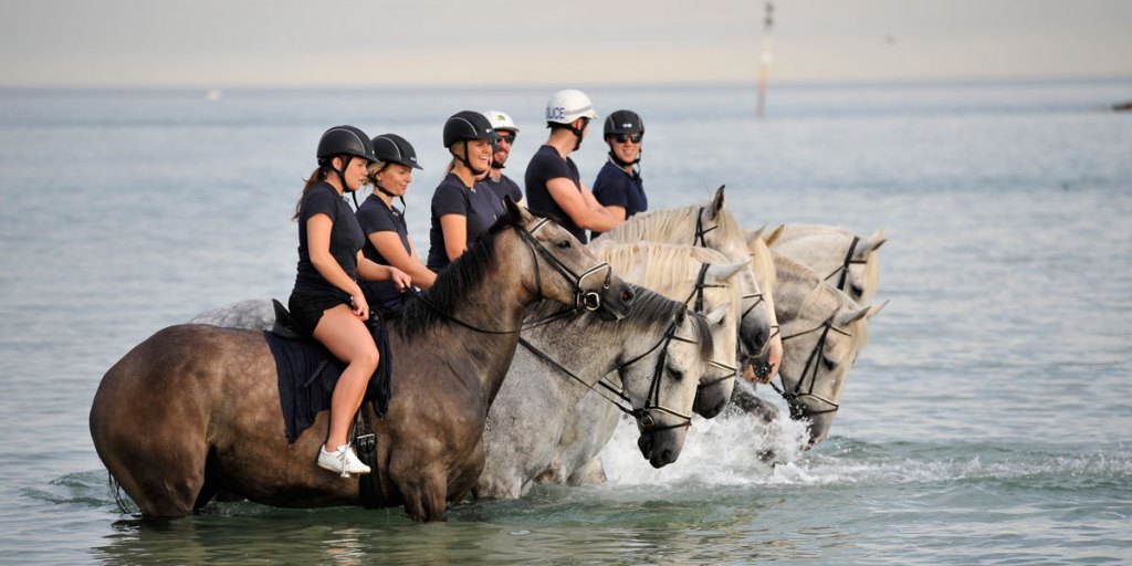 Beating the heat: officers take police horses for an early morning swim at Semaphore beach.
