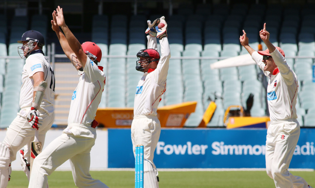 Thumbnail for Redbacks finals campaign “in the pink”