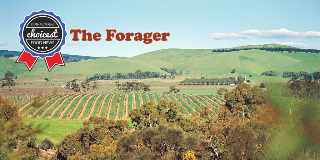 Thumbnail for The Forager: Bars, noodles and food ‘brands’