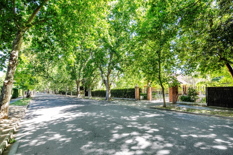 Thumbnail for Unley Park