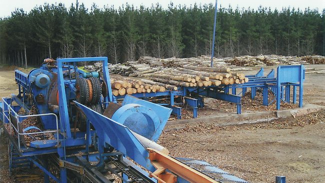 Thumbnail for KI tree farm sale completed