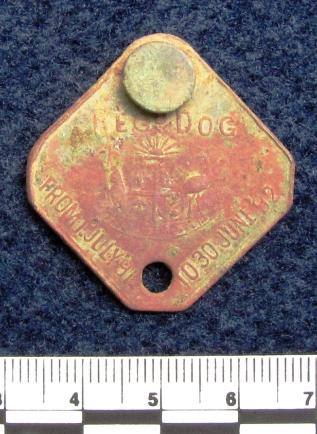 A dog registration tag for the year 1891-1892, registered in the District of Kapunda. Photo: Susan Arthure