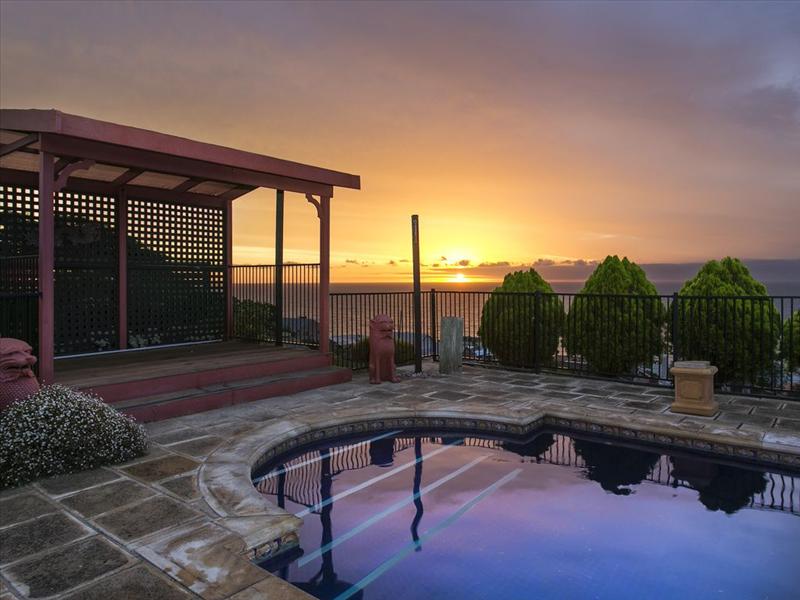 Thumbnail for Marino