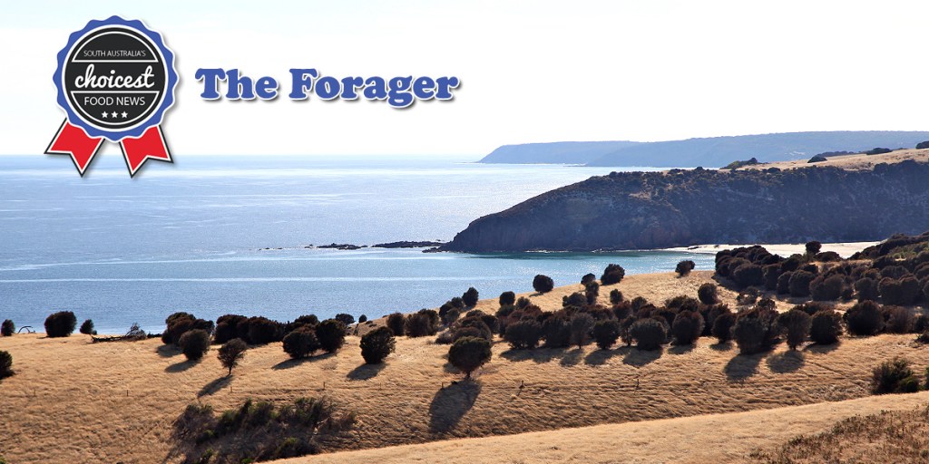 Thumbnail for The Forager: SA food history, whisky, picnics