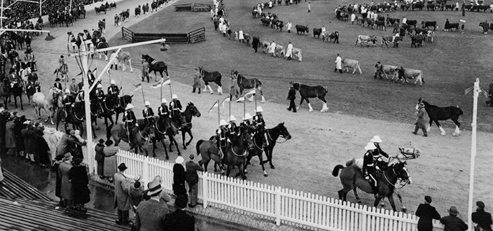 Thumbnail for The Society behind the Royal Show