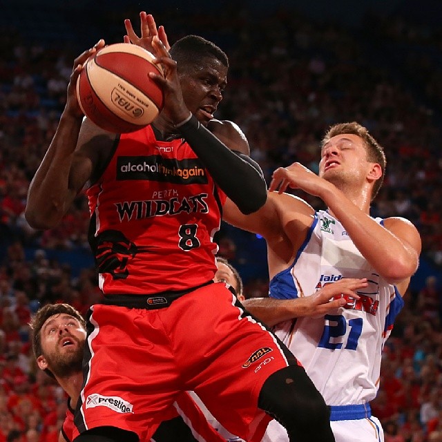 Thumbnail for Adelaide 36ers: all you need to know