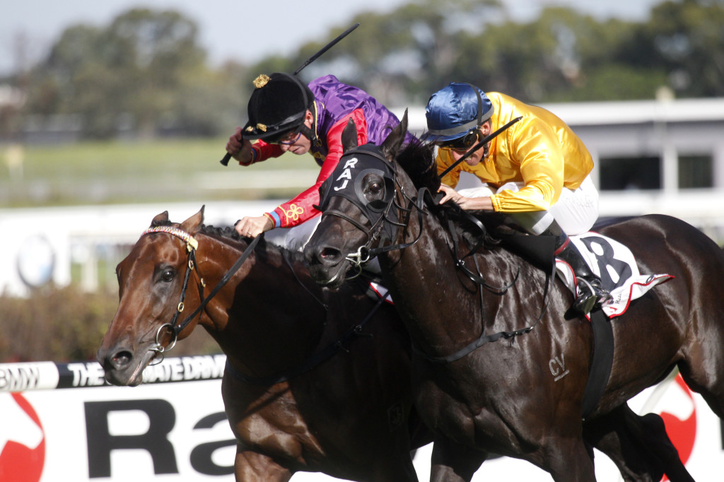 Thumbnail for Super Saturday of racing