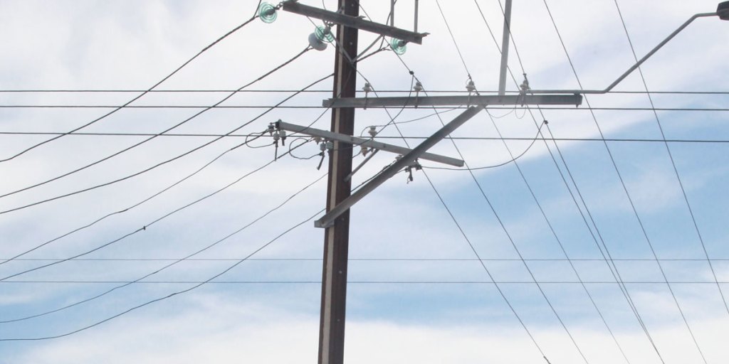 Thumbnail for Councils want more trees on median strips