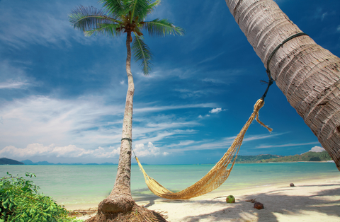 Thumbnail for Travelling and holidays