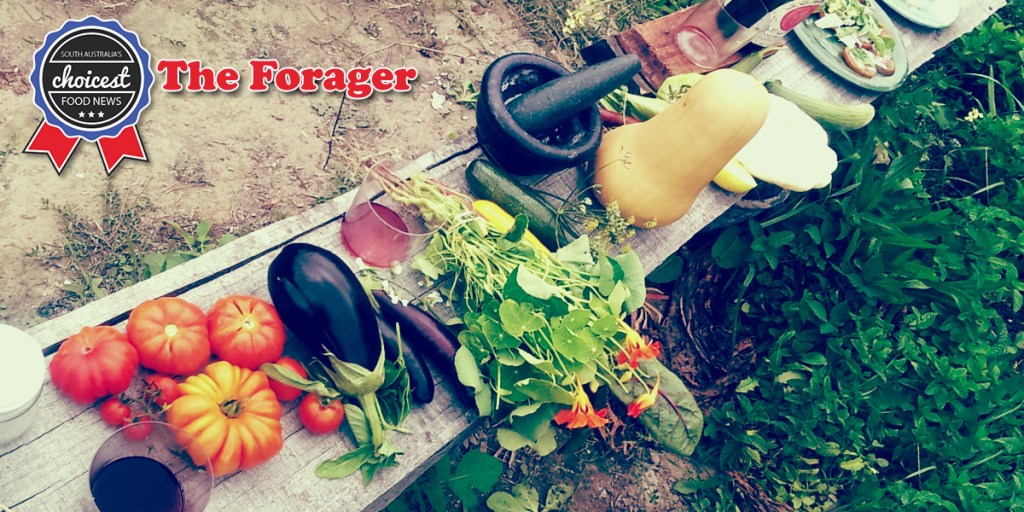 Thumbnail for The Forager: pub reopens, big food month