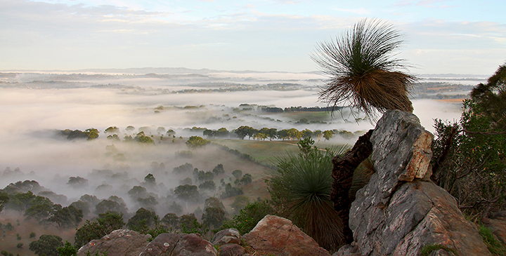 Thumbnail for Benefits for the Mt Lofty Ranges region